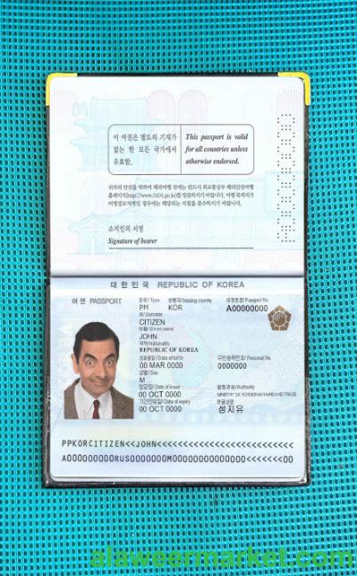 South Korea passport photo look
